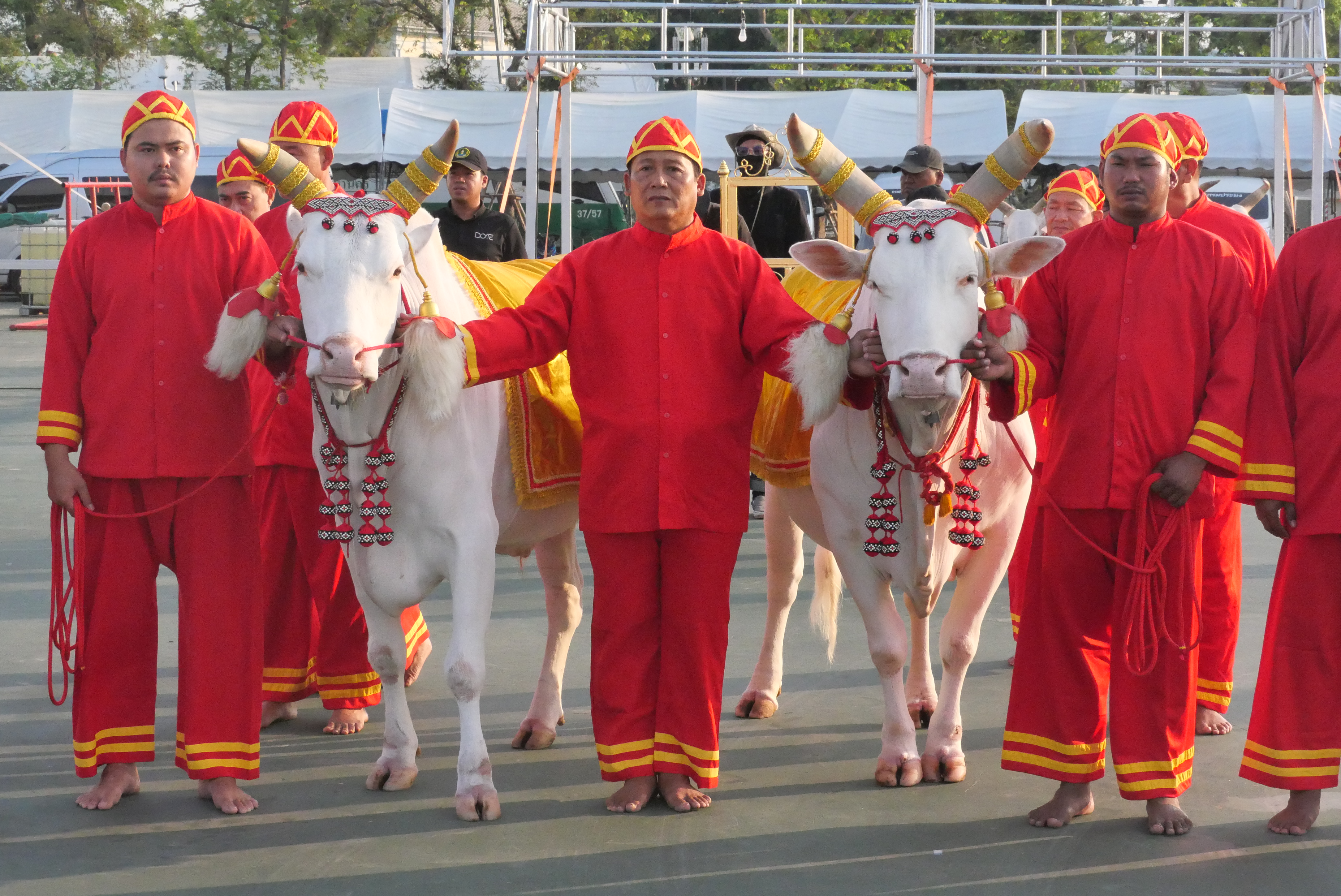 title - ส.ป.ก. ร่วมซ้อมใหญ่ ครั้งที่ 1 พระราชพิธีพืชมงคลจรดพระนังคัลแรกนาขวัญ ประจำปีพุทธศักราช 2569 